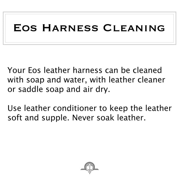 Eos leather Strap-on harness in black and brass